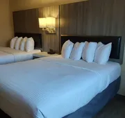 Lavissh Inn & Suites hotel detail image 7