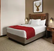 Great Wolf Lodge Concord hotel detail image 4
