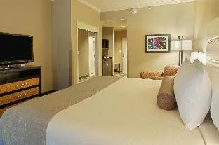 Best Western Plus Miami Airport North Hotel & Suites hotel detail image 6