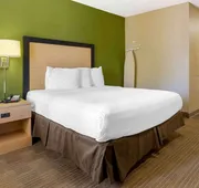 Extended Stay America Suites Houston The Woodlands hotel detail image 7