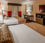 Best Western Plus Memorial Inn & Suites hotel detail image 3