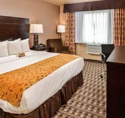 Quality Inn Hotel - Kent Seattle hotel detail image 7