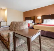 Econo Lodge Black Hills hotel detail image 7