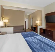 Comfort Suites Normal University area hotel detail image 7
