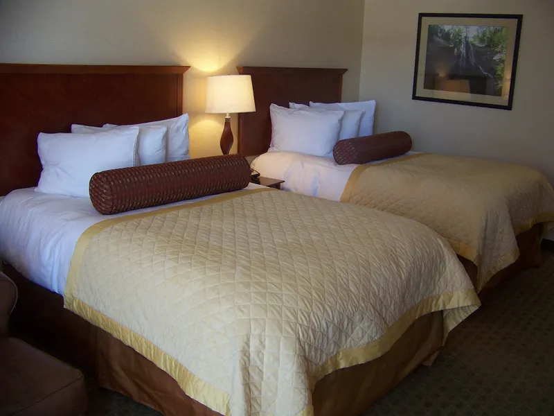 Norfolk Country Inn & Suites hotel detail image 6