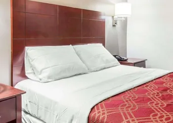 Econo Lodge South Ozone Park hotel thumbnail 5