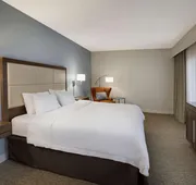 Hampton Inn by Hilton West Palm Beach Central Airport hotel detail image 4