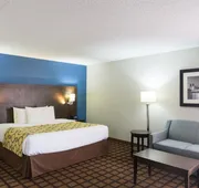Baymont by Wyndham Morton hotel detail image 7