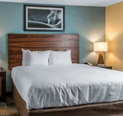 MainStay Suites Cotulla hotel detail image 7