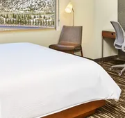 Element by Marriott Basalt - Aspen hotel detail image 7