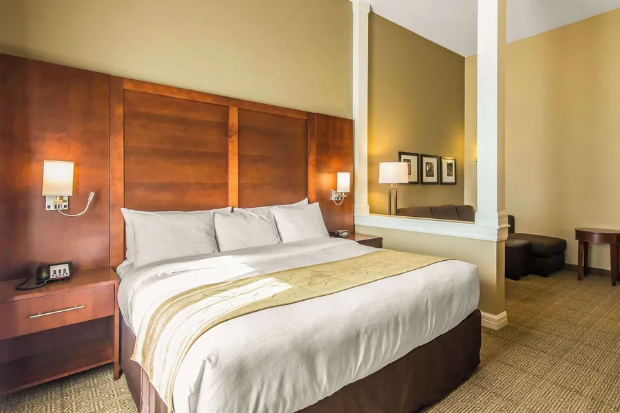 Comfort Suites Dodge City hotel detail image 6