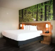 The Inn At Tree City, BW Signature Collection hotel detail image 4