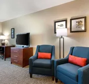 Comfort Inn & Suites Tavares North hotel detail image 3