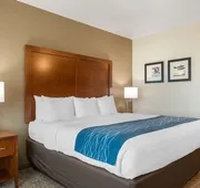 Comfort Inn & Suites Tavares North hotel detail image 5