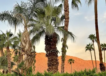 Vista Grande Resort - A Gay Men's Resort hotel thumbnail 6