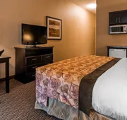 Best Western Estevan Inn & Suites hotel detail image 4