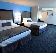 Best Western Plus Flint Airport Inn & Suites hotel detail image 3