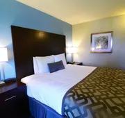 Best Western Plus Flint Airport Inn & Suites hotel detail image 4