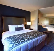 Best Western Plus Flint Airport Inn & Suites hotel detail image 5