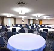 Best Western Plus Flint Airport Inn & Suites hotel detail image 7