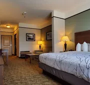 Best Western Plus Emory At Lake Fork Inn & Suites hotel detail image 3
