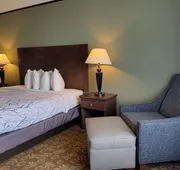 Best Western Plus Emory At Lake Fork Inn & Suites hotel detail image 5