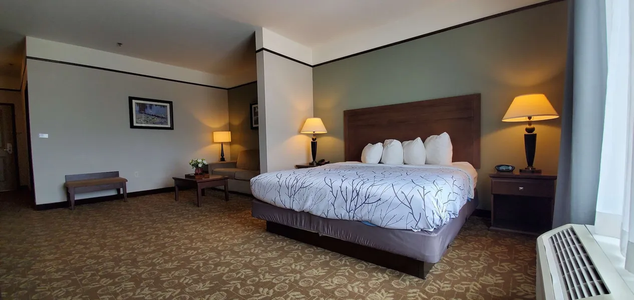 Best Western Plus Emory At Lake Fork Inn & Suites hotel detail image 6