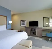 Hampton Inn Snyder TX hotel detail image 7