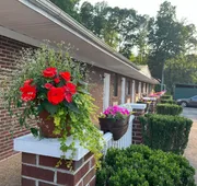 Pine Tree Inn hotel detail image 7