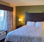 Comfort Inn & Suites Beeville hotel detail image 5