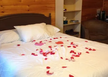 Motel 149 hotel thumbnail 5