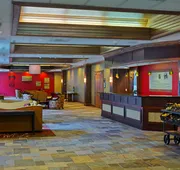 DoubleTree by Hilton Asheville - Biltmore hotel detail image 7