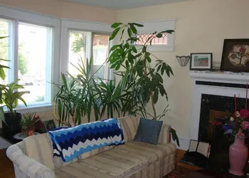 Downtown Bed And Breakfast hotel thumbnail 5