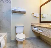 Quality Inn and Suites hotel detail image 4