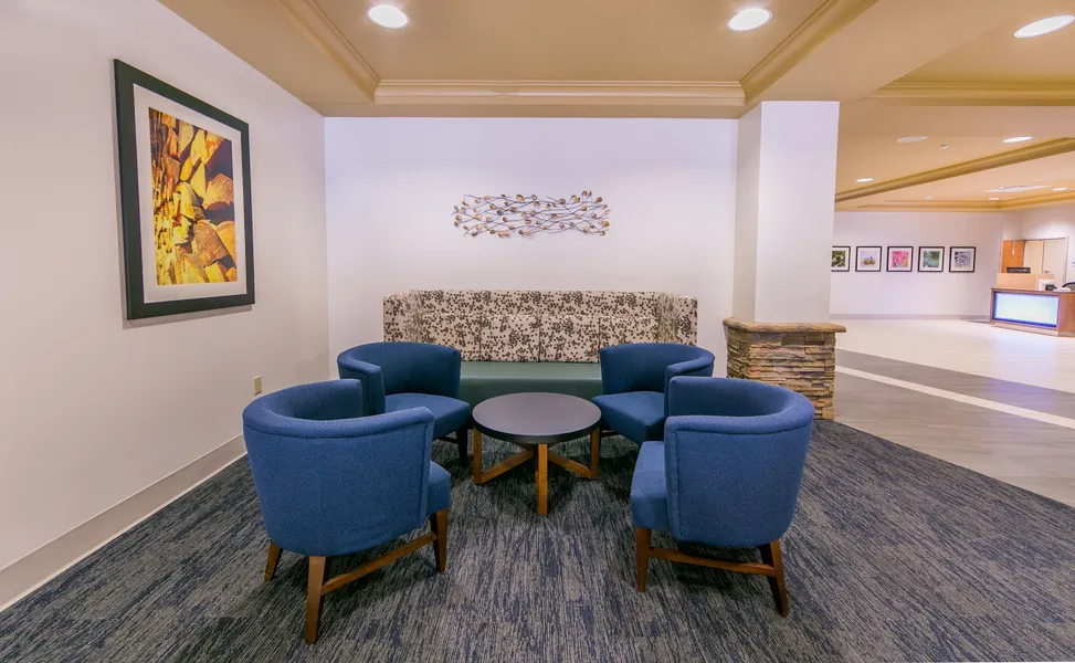 Holiday Inn Express Gatlinburg Downtown by IHG hotel detail image 6