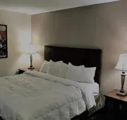 Quality Inn hotel detail image 4