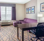 La Quinta Inn & Suites by Wyndham Luling hotel detail image 7
