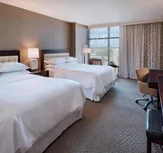 Sheraton Austin Georgetown Hotel & Conference Center hotel detail image 5