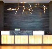 AC Hotel Atlanta Buckhead at Phipps Plaza hotel detail image 4