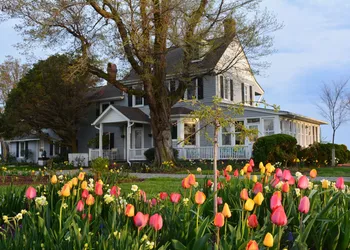 Black Walnut Point Inn hotel thumbnail 3