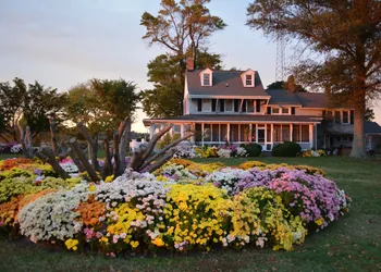 Black Walnut Point Inn hotel thumbnail 5
