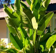 Retreat at Crystal Manatee hotel detail image 5
