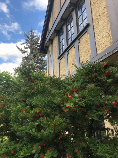 Ambassador B&B hotel detail image 6