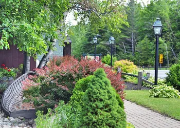 The Hungry Trout hotel thumbnail 2