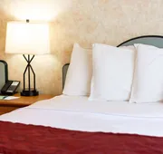 Swiss Alps Inn hotel detail image 3