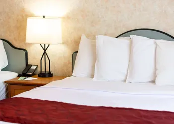 Swiss Alps Inn hotel thumbnail 3