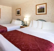 Swiss Alps Inn hotel detail image 4