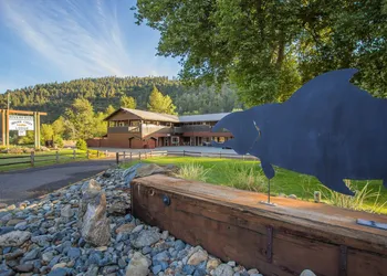 Indian Creek Lodge hotel thumbnail 7