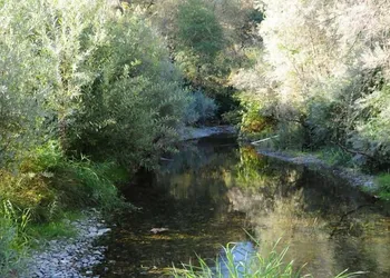 Morrison's Rogue River Lodge hotel thumbnail 7