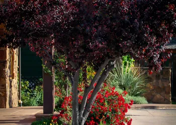 Flanigan's Resort and Spa hotel thumbnail 2